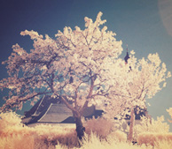 卡密充值便宜的手机号炸弹防护业务